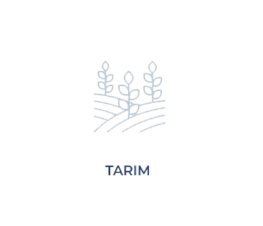 Tarım 